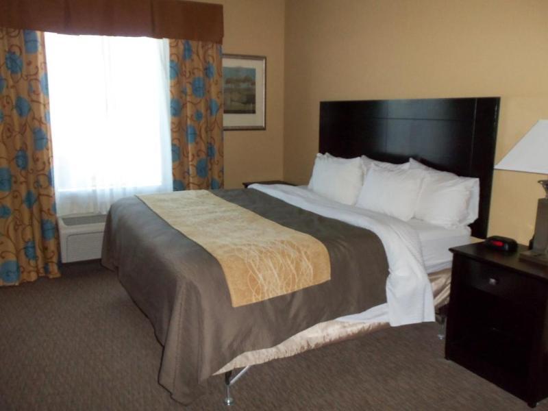 Comfort Inn Near Frost Bank Center Сан Антонио Екстериор снимка